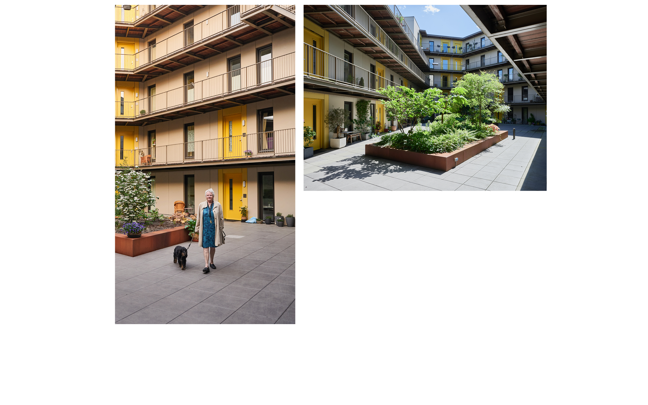 collage ebbingehof